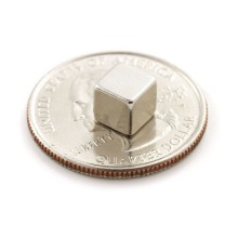 Magnet Square - 0.25"