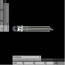 LED - RGB Clear Common Cathode 100 pack